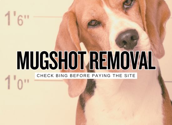Pay Us to Remove Your Mugshot and Bing May Remove the Result Instead